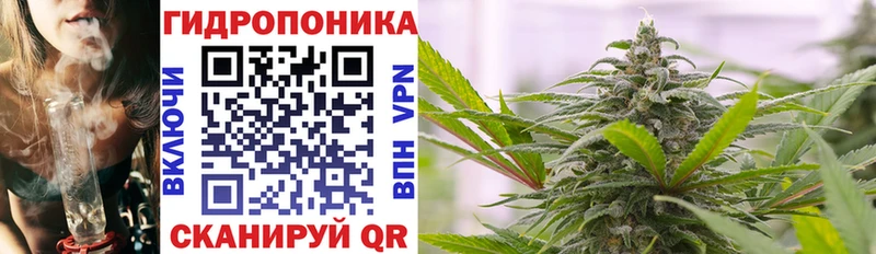 МАРИХУАНА LSD WEED  kraken как войти  Бабаево 